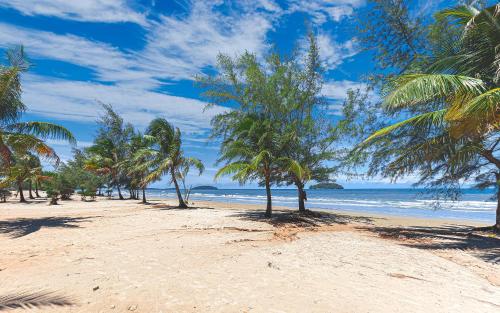 Sandy Clay Bungalows