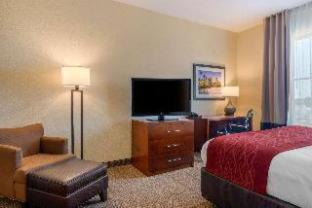 Comfort Inn & Suites Northeast - Gateway