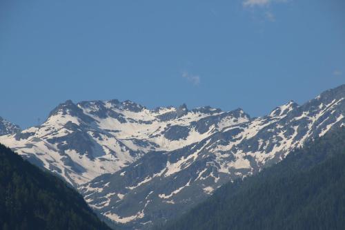 Myosotis QUIET & SUNNY apartments - image 9
