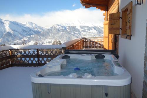 Hirondelle JACUZZI & LUXURY chalet 12 pers by Alpvision Residences