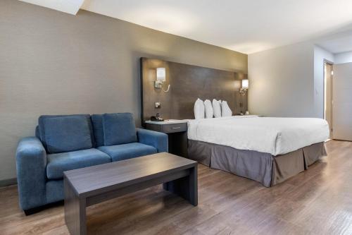 Deluxe King Room - Non-Smoking room in Super 8 by Wyndham Macleod Trail Calgary