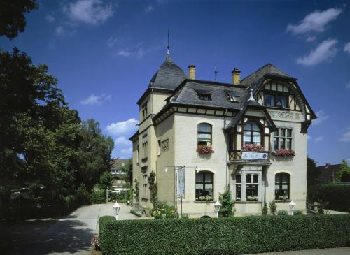 Alte Villa Ling
