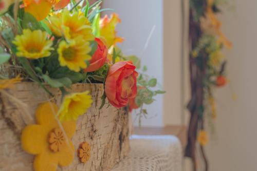  Meublè Rosalpina in Valdidentro