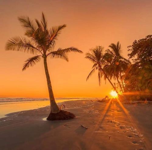 Beach, Ibiza Tropical Beach Villas in Uvita