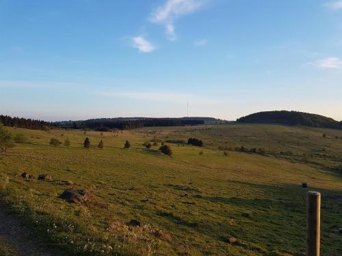 Ferienwohnung Pusteblume