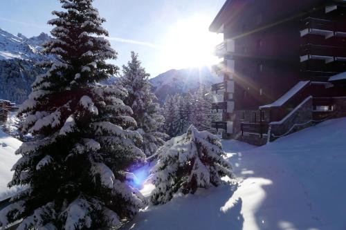View, Residence Les Erines in Meribel