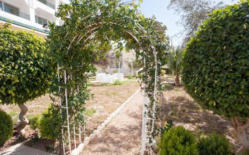 Foto - Soviva Resort - Familes Only