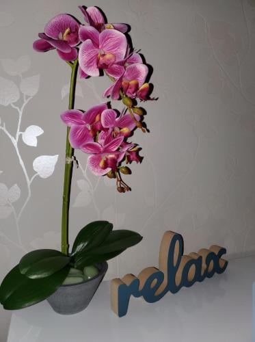 Zlatibor Hills Royal - image 6