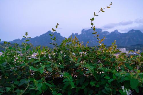 肖恩城堡度假美宿(张家界天门山索道店) 肖恩城堡度假美宿(张家界天门山索道店)