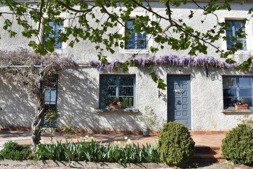 Le Tilleul de Ray - Accommodation - Ray-sur-Saône