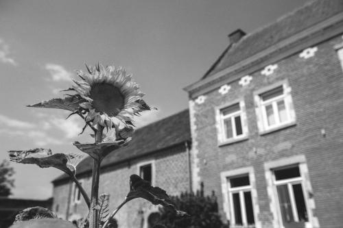 B&B L'Epicurie - image 9