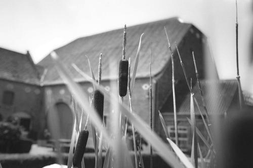 B&B L'Epicurie - image 6