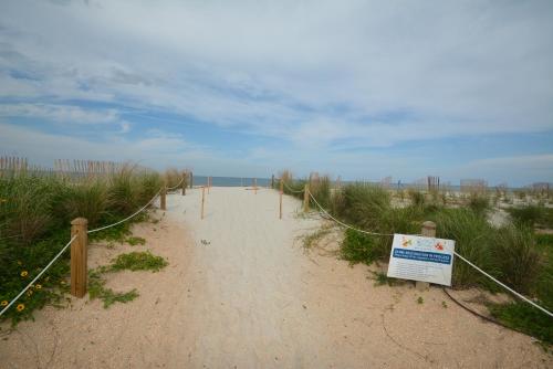 Just Beachy A Luxury Retreat Sleeps 12 3 Levels with Elevator- Perfect for 1-3 Families Travelin - image 5