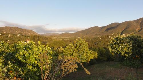 Quinta Maria en la Ruta del Vino