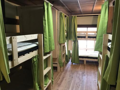 Bunk Bed in Mixed Dormitory Room