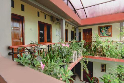 Photo - Sabana Homestay