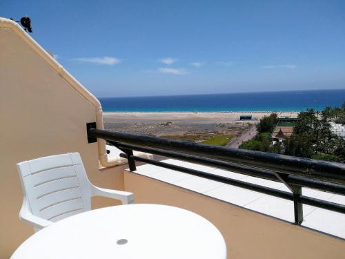 Apartments Palm Garden 5