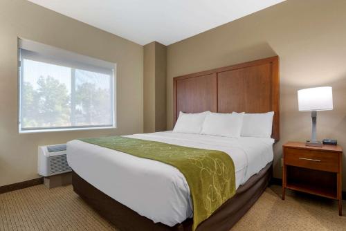 Comfort Suites Marysville-Yuba City - image 7
