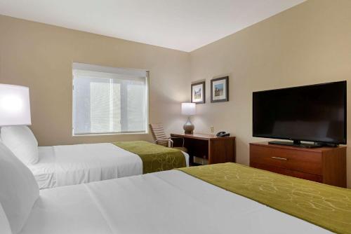 2 queen beds, 1 sofa bed