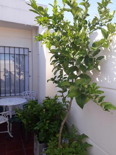 Casa Devoto 5238, Buenos Aires (foto 10)