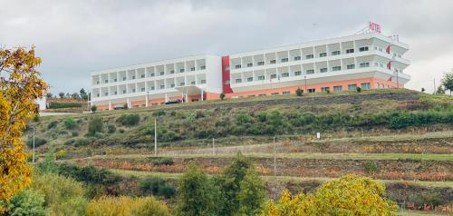 Placido Hotel Douro - Tabuaco - 숙소 외관