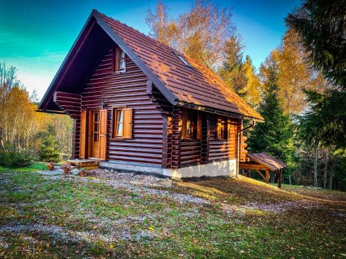 Pine Lodge - Accommodation - Hlevci