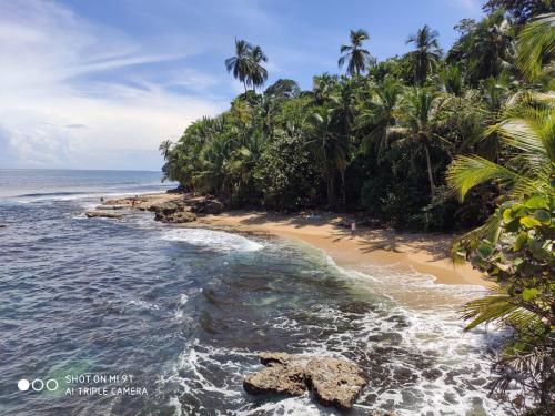 Umgebung, Madre Selva Hostel in Puerto Viejo de Talamanca