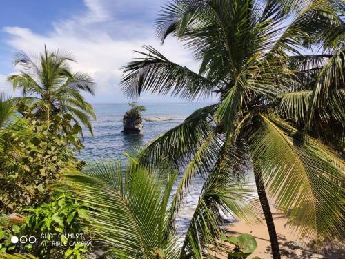 Strand, Madre Selva Hostel in Puerto Viejo de Talamanca