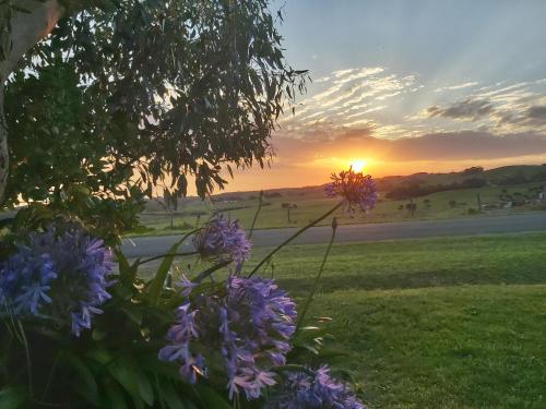 Sunset View Villa, Apollo Bay (foto 3)