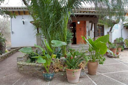 Hostal El Cortijo