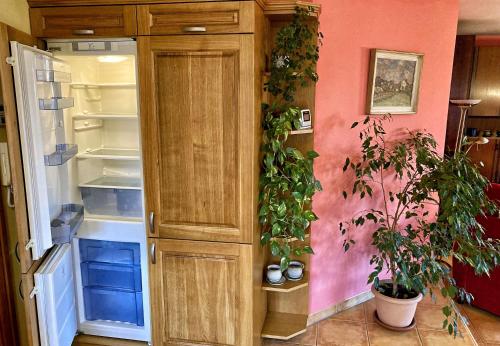 keuken, U Prokopů (U Prokopu) in Jindřichův Hradec