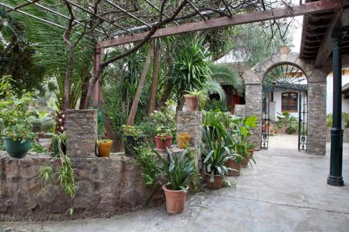 Hostal El Cortijo - image 4