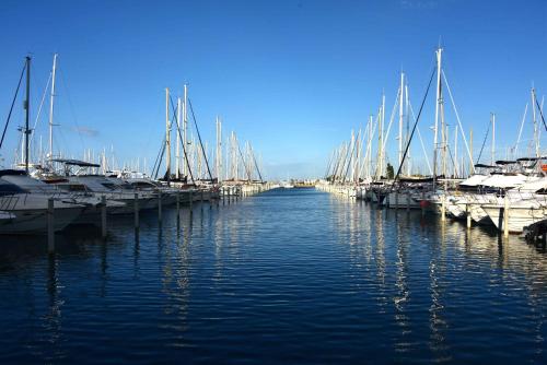 Port-Vincent - image 13