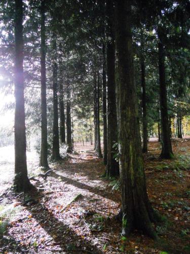 Plumes et Pinceaux in Redu