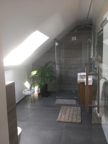 Fürdőszoba, Plumes et Pinceaux in Redu