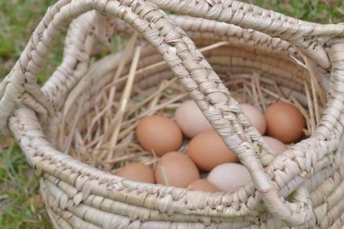 Valley Retreat in dolina Currumbin 