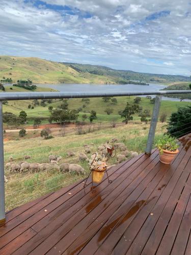Amazing Views Pet Friendly Bed and Breakfast in Yass