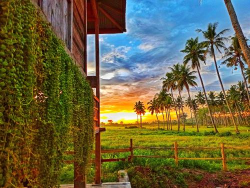 Sunset Cottages by Harry & Mimin in Gorontalo