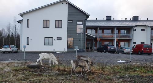 Hotel Lost In Ylläs