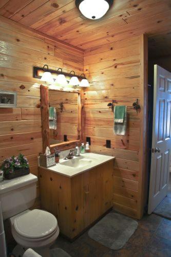 Main Cabin - STARRY NIGHTS cabin - image 4