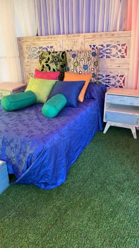 GLAMPING CIRCO