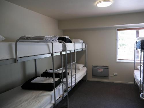 Bed in 8-Bed Mixed Dormitory Room