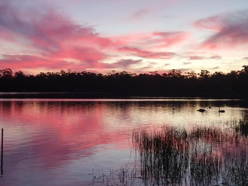 Lake Yalleena Nature Retreat - Apartment - Lake Leake