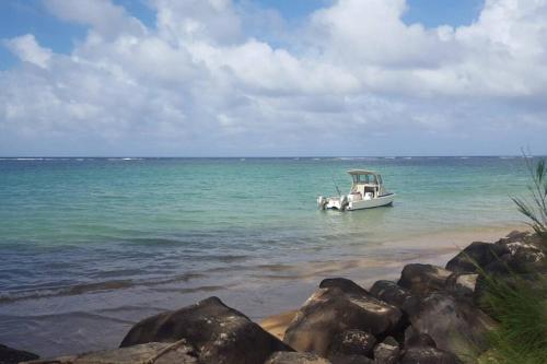 South Shore Kauai Gem