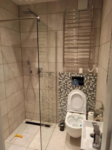 Apartament na Zakręcie, Sklářská Poruba (fotografie 11)