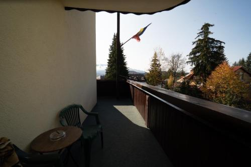 Pensiunea Margaritar - image 12