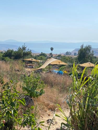 suite truck- Natura Eco farm in Tiberias City Center
