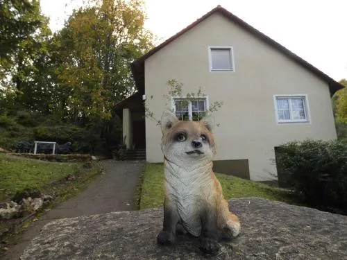 Goldener Fuchs in Moschendorf in Gößweinstein, Deutschland