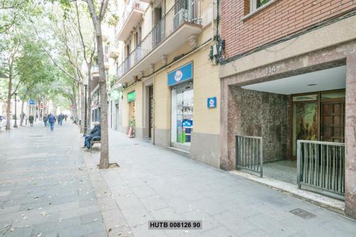 Alcam Rogent - image 8