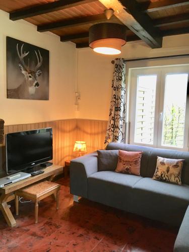 Gîte la Petite Semois à Mouzaive - image 9